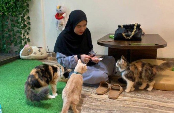 Cafe atau Hotel Pet